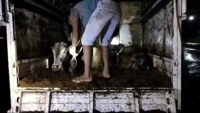 Photo of नवेगावबांध पोलिसांनी नाकाबंदी कारवाई करून ताब्यात घेतले सात जनावरांसह ६ लाख ८० हजार रुपयांचा मुद्देमाल जप्त!