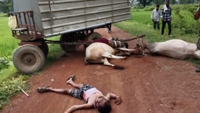 Photo of 1100 के बी बिजली लाइन के चपेट में आने से 2 व्यक्ति और एक बैल जोड़ी की हुई मौत