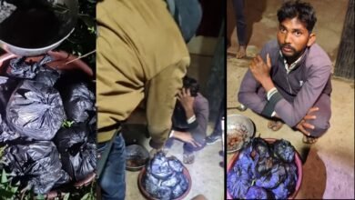 Photo of उड़नदस्ता वनवृत्त बालाघाट ने 8 किलो जंगली सूअर के मास के साथ एक गिरफ्तार
