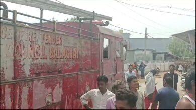 Photo of पेरा के ढेर में लगी आग, फायर ब्रिगेड ने समय रहते पाया काबू! भरवेली