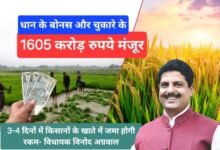 Photo of धान के बोनस और चुकारे की राशि 1605 करोड़ मंजूर, 3-4 दिनों में किसानों के खाते में आएगी राशि! जनता के विधायक विनोद अग्रवाल ने माना किसान हितैषी महाराष्ट्र सरकार का आभार।
